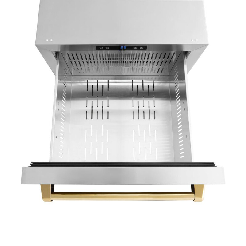 Autograph Edition 24 In. Touchstone 168 Can Outdoor-rated Dual Refrigerator Drawer With Stainless Steel Doors And Polished Gold Handles RDSOZST24G