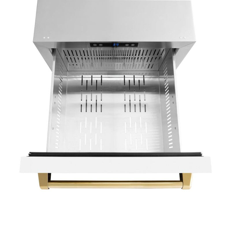 Autograph Edition 24 in. Touchstone 168 Can Outdoor-Rated Dual Refrigerator Drawer with White Matte Doors and Polished Gold Handles RDSOZWM24G