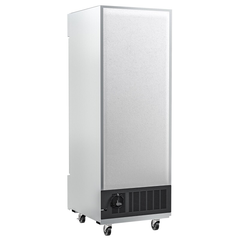 29 in. One Glass Door Reach-In Freezer 23 cu ft RIF1DGD
