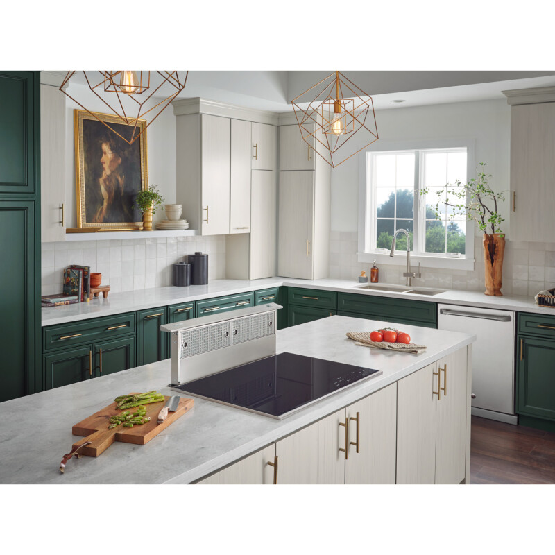 48-Inch Telescopic Downdraft Range Hood System RMDD4804