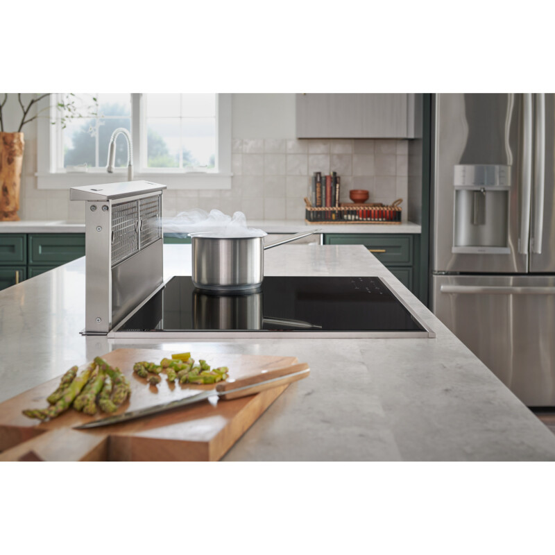 48-Inch Telescopic Downdraft Range Hood System RMDD4804
