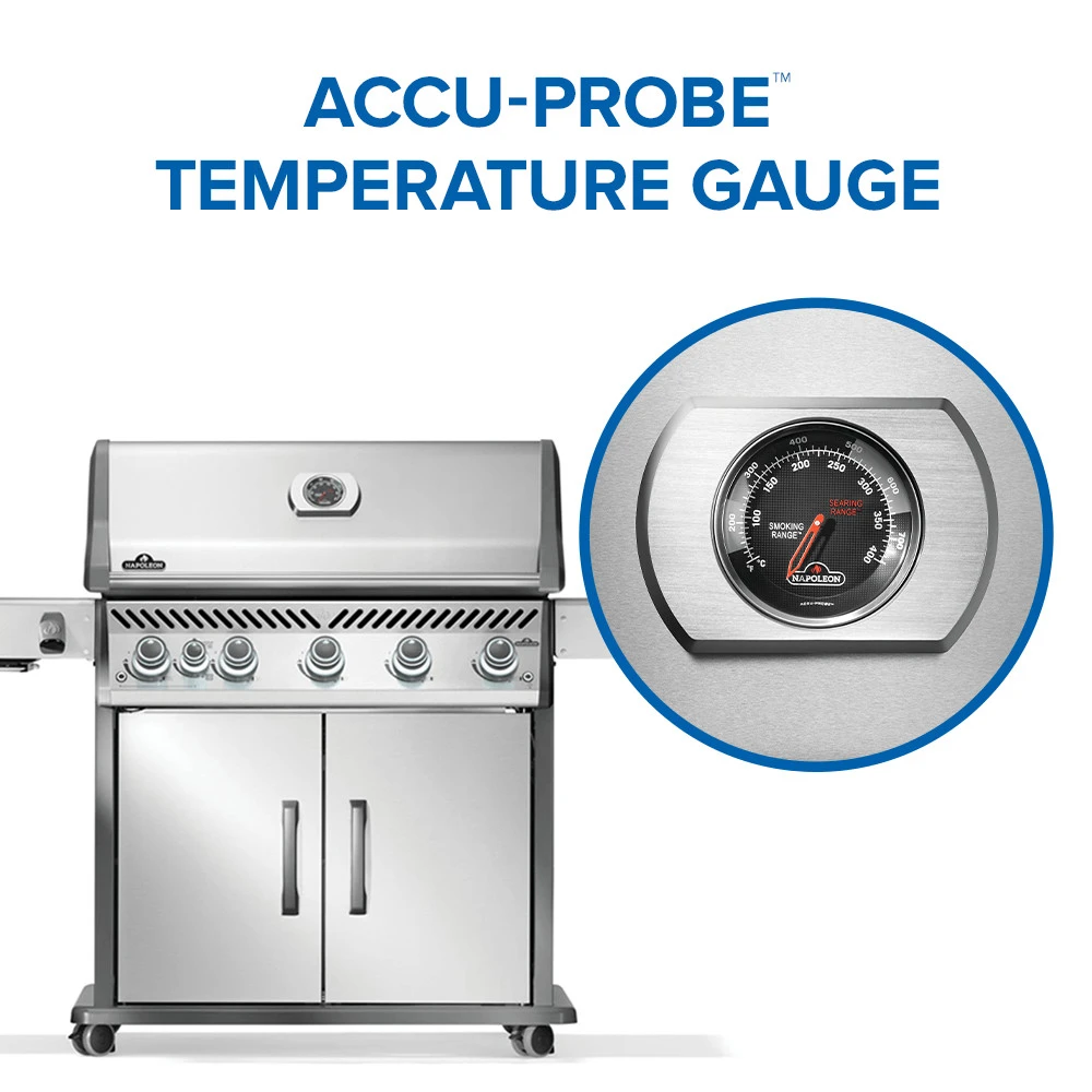 Rogue® PRO 625 SIB with Infrared Side Burner RP625SIBPSS2