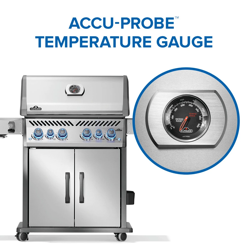 Rogue® PRO-S 525 RSIB with Infrared Side and Rear Burner RPS525RSIBPSS2