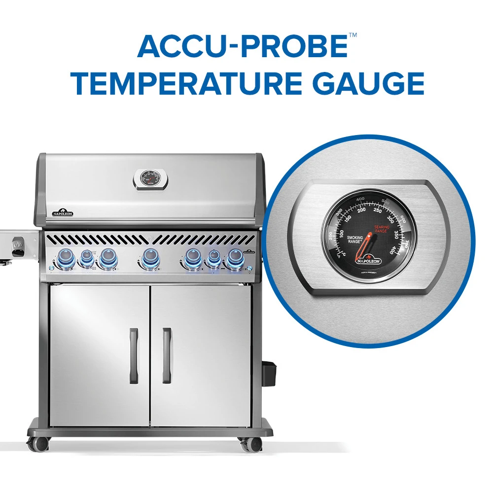Rogue® PRO-S 625 RSIB with Infrared Side and Rear Burner RPS625RSIBPSS2