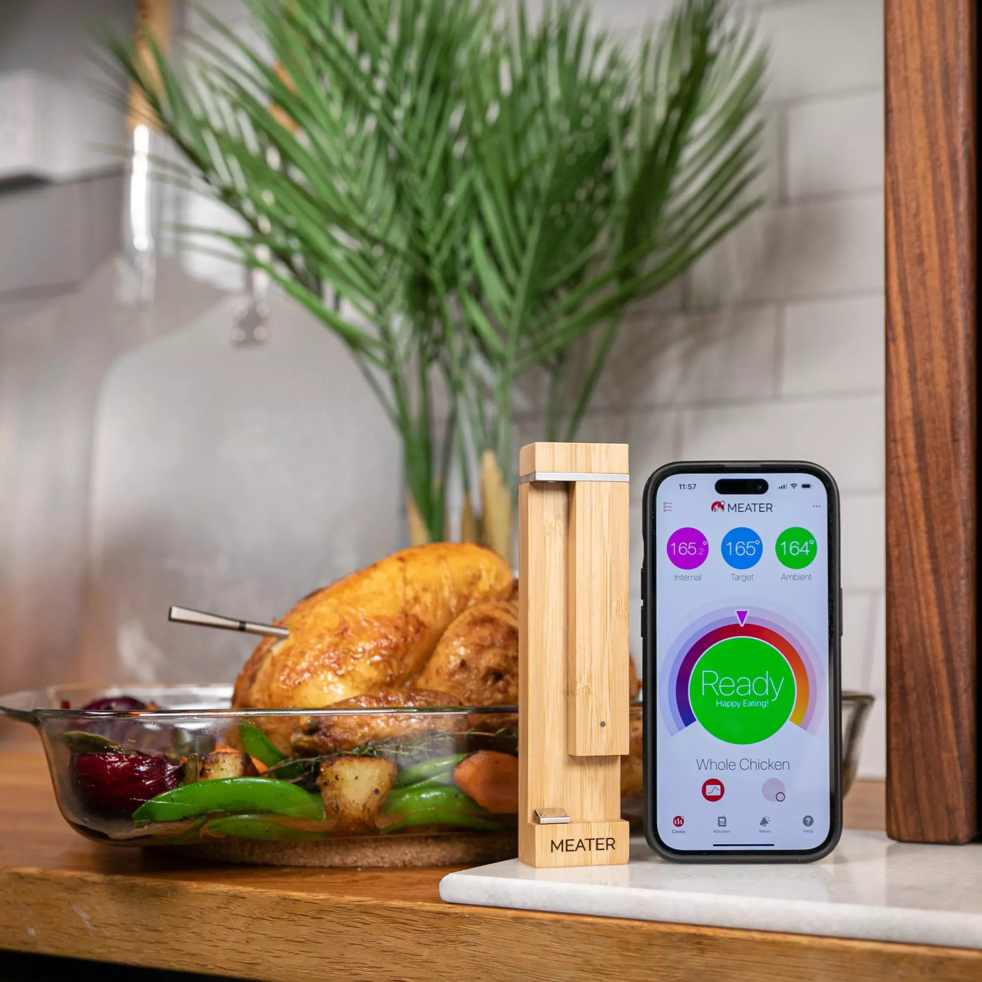 MEATER® Pro Wireless Meat Thermometer RTUMTMP201