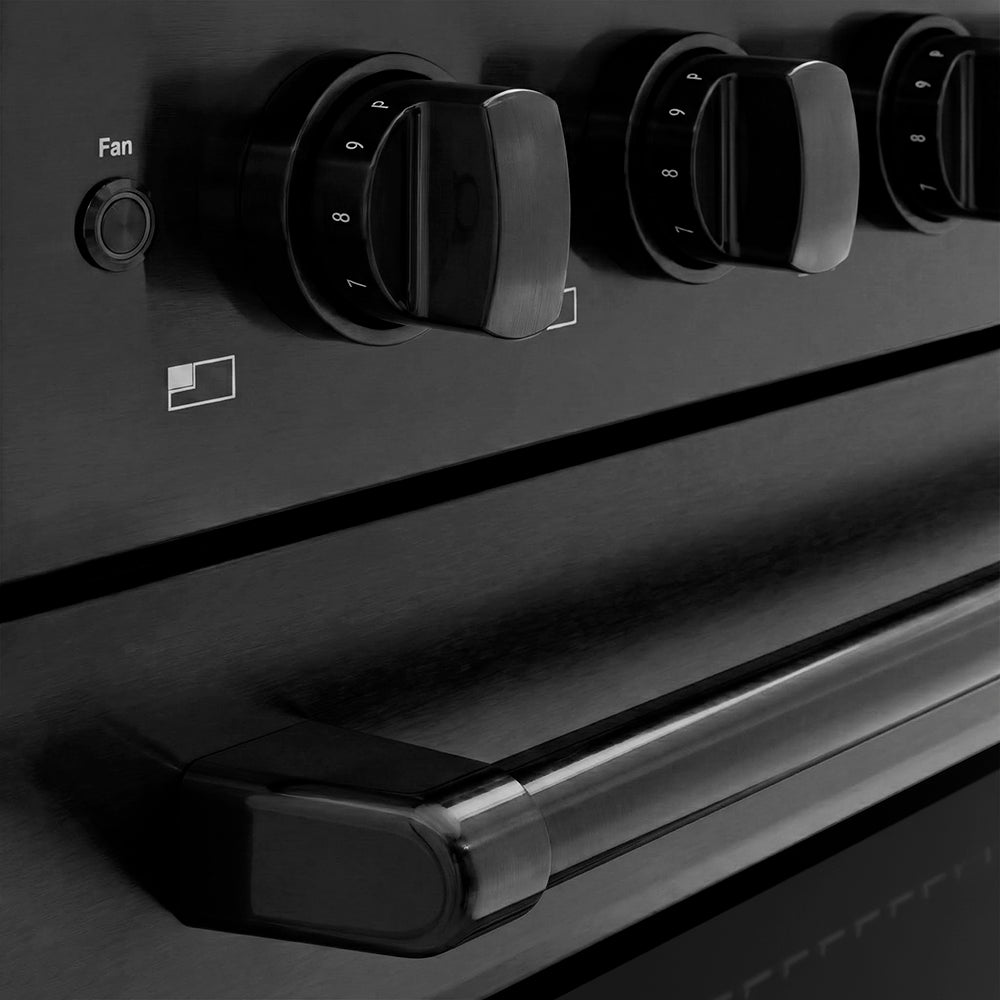 30 In. 4.2 Cu. Ft. Paramount Induction Range With 4 Element Cooktop And Electric Convection Oven In Black Stainless Steel SINRB30