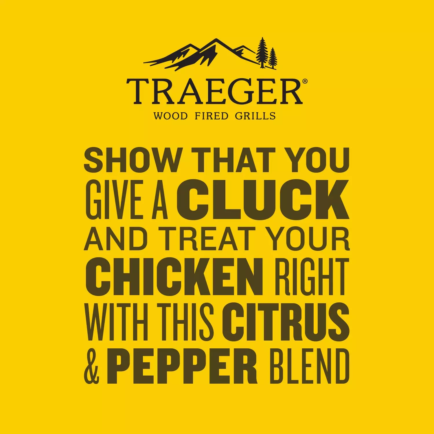 Chicken Rub SPC252
