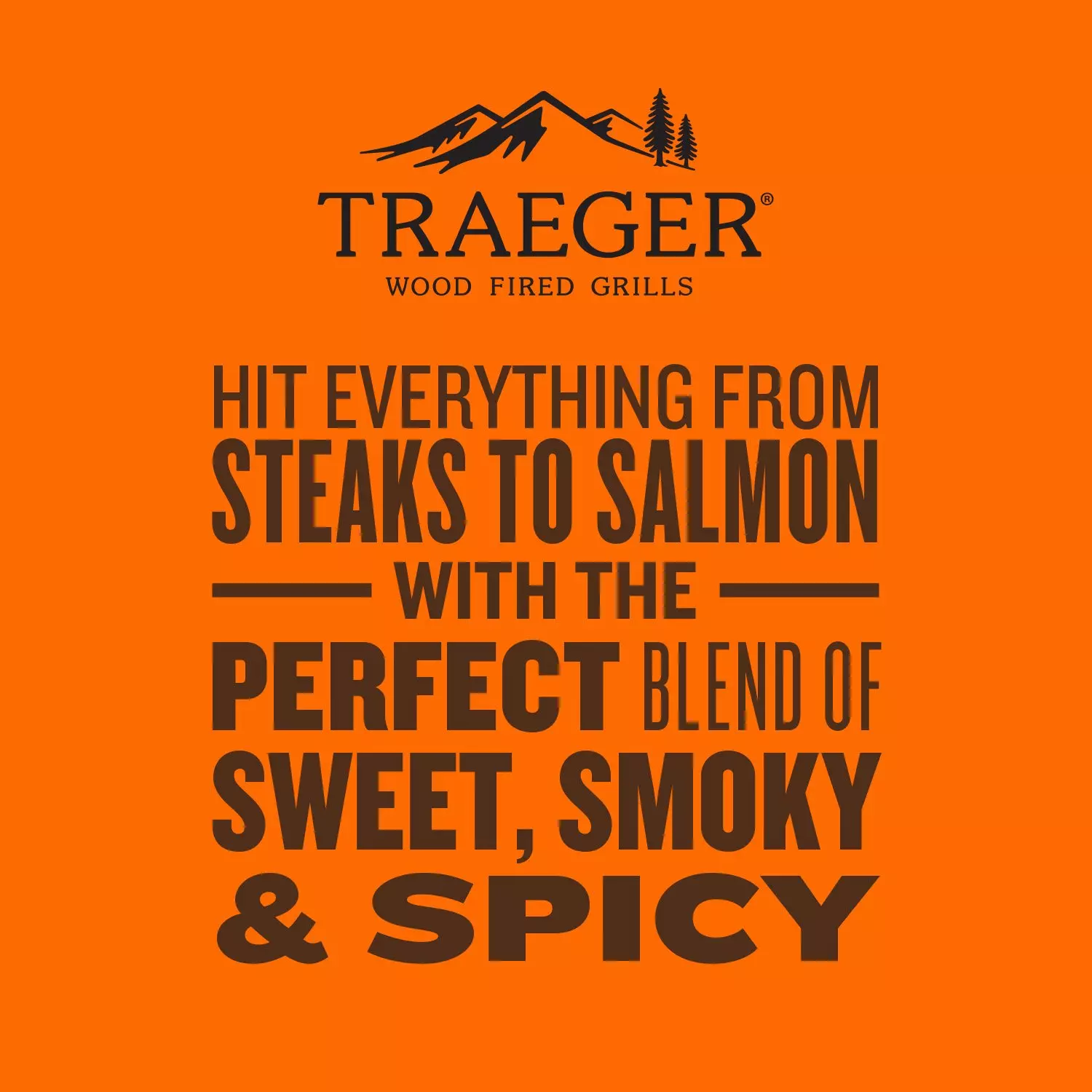 Traeger Rub SPC253
