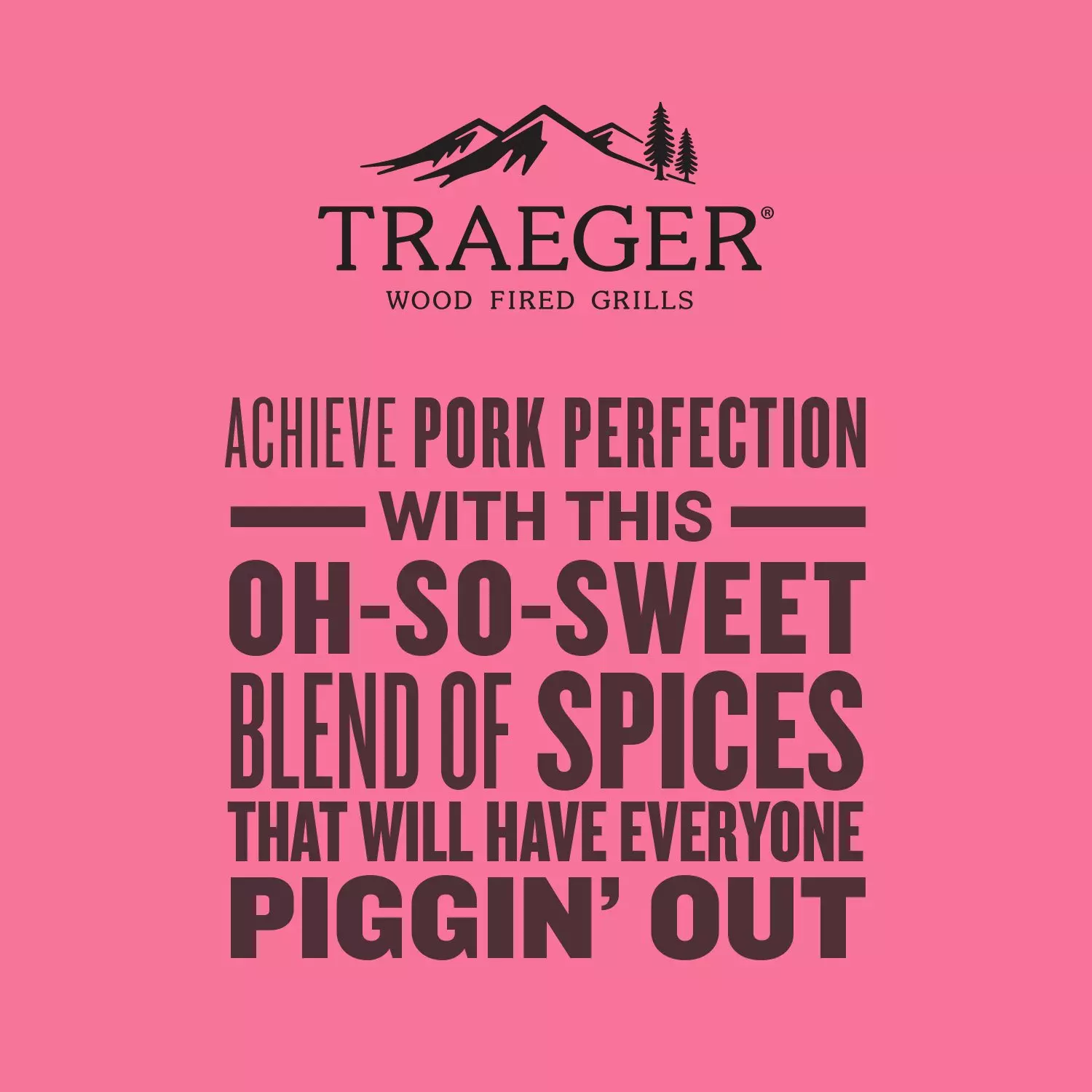 Perfect Pork Rub SPC255