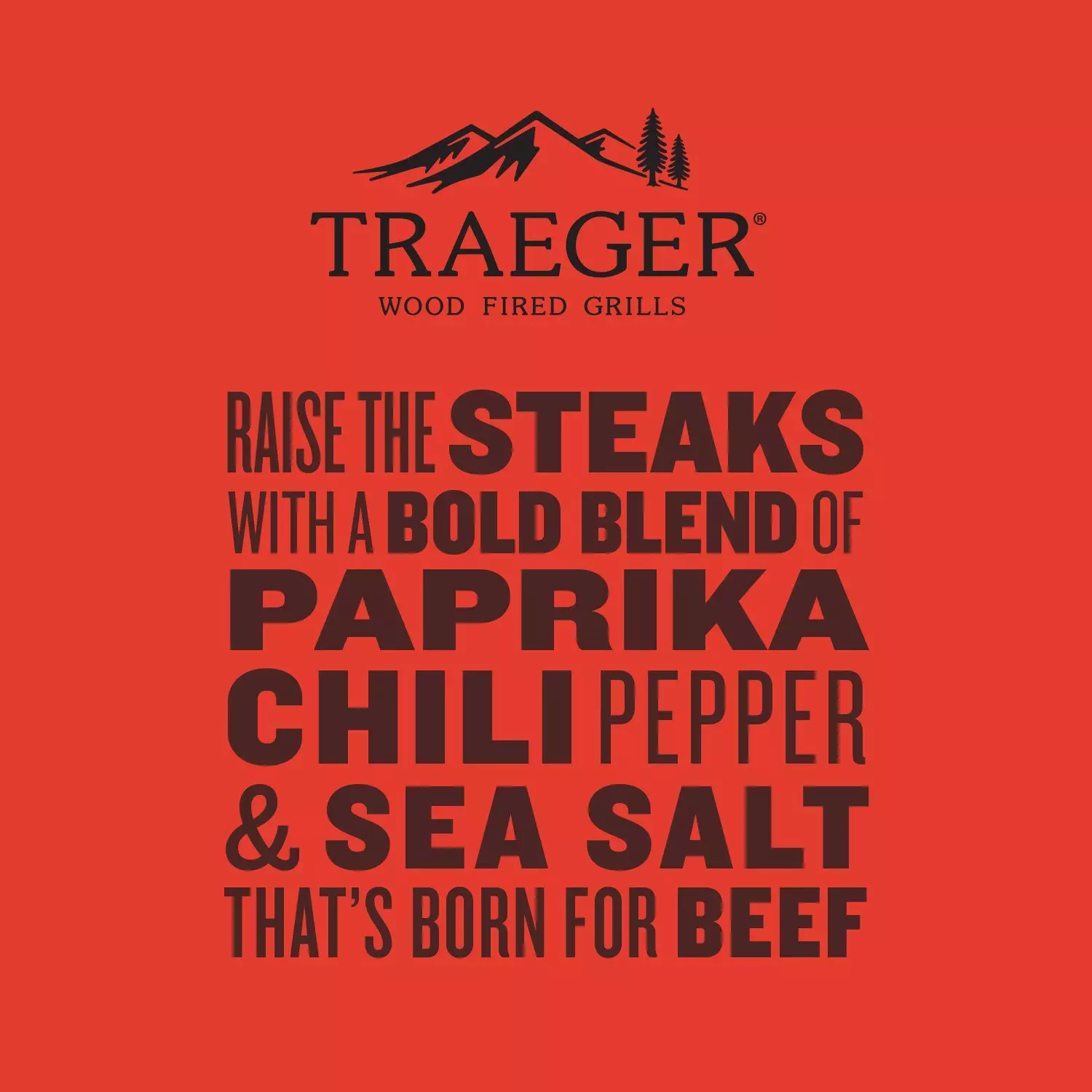 Beef Rub SPC256