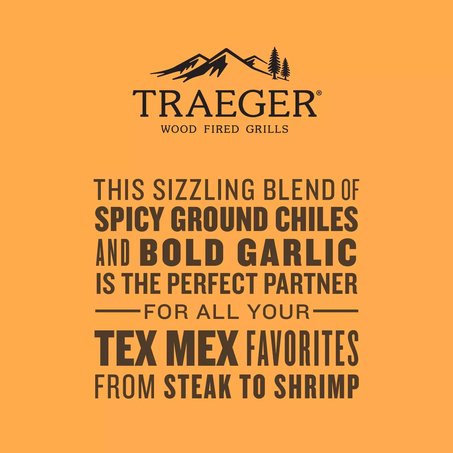 Tex Mex Rub SPC257