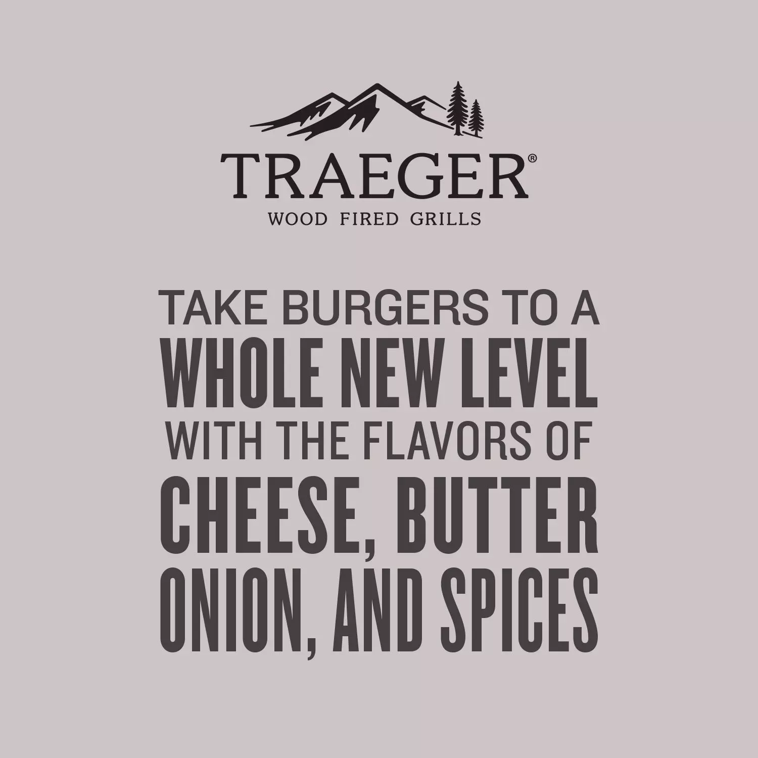 Burger Rub SPC258