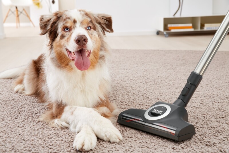 TurboTeQ For quick removal of hair and threads, even from delicate rugs and carpets. STB3053