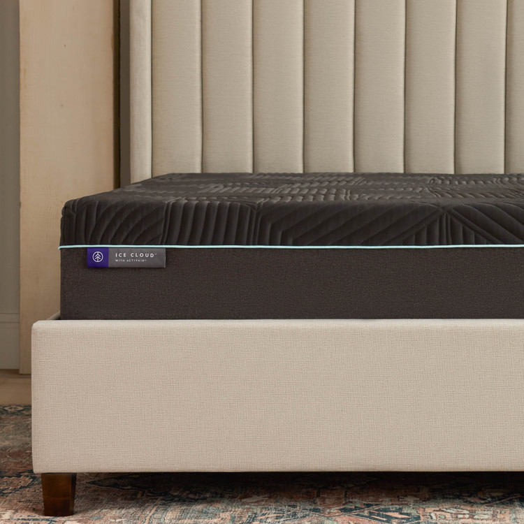 Eastman Platform Bed Frame STQQOAEASTPL