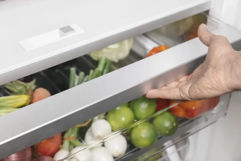 Built-in Refrigerator Column 24" Built-in Refrigerator Column 24'' T24IR905SP