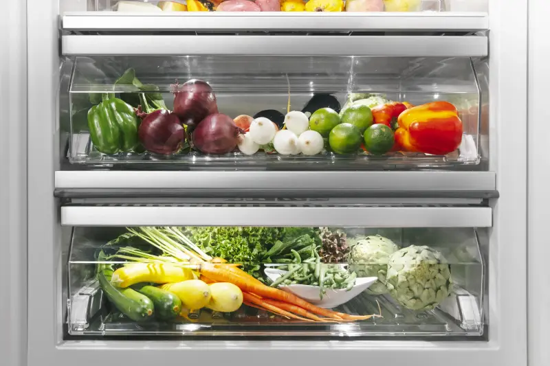 Built-in Refrigerator Column 24" Built-in Refrigerator Column 24'' T24IR905SP