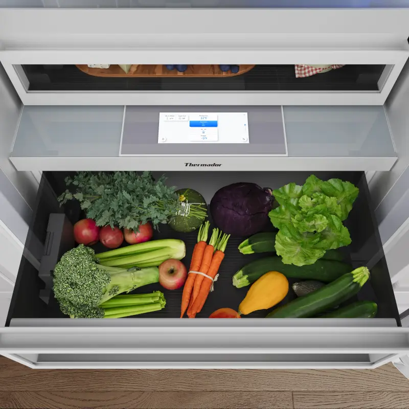 30" Built-in Bottom Freezer 2-Drawer T30IB100SP