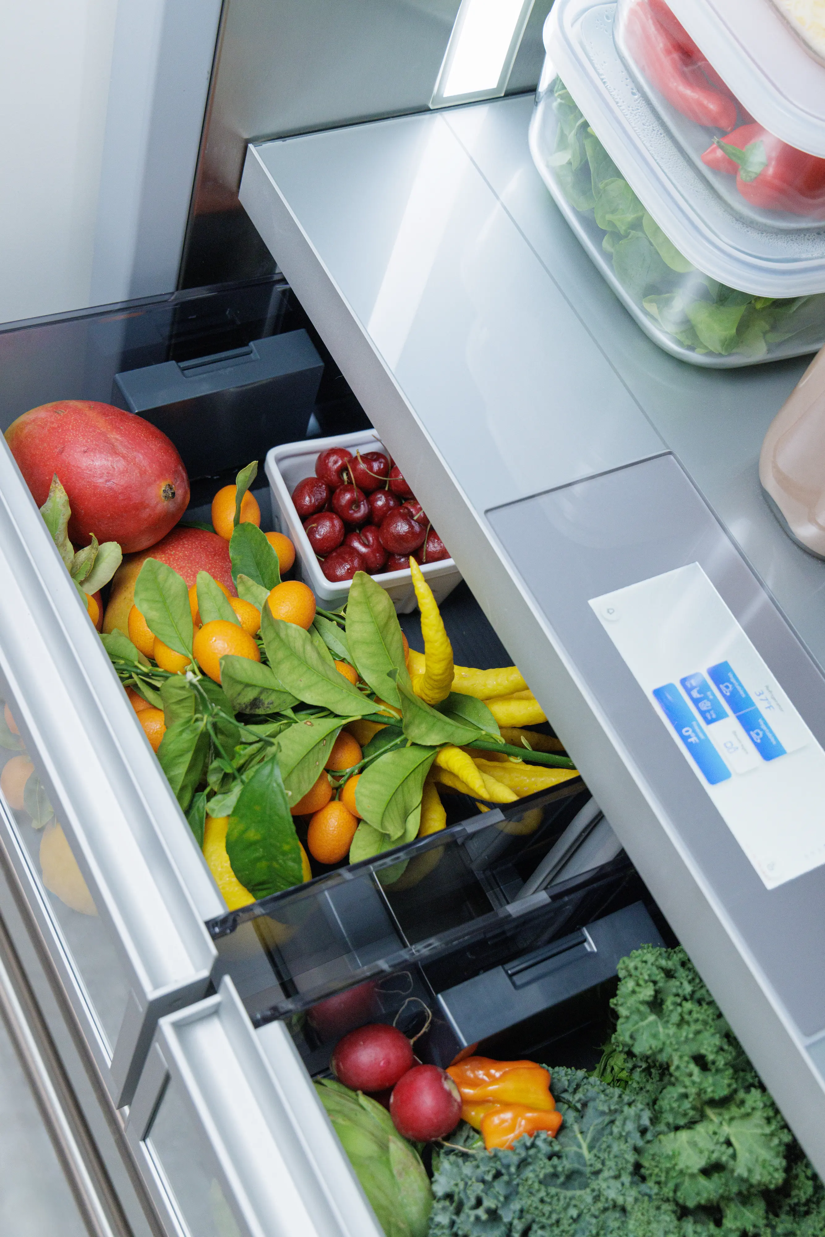 Freedom® Built-in Bottom Freezer 36'' Masterpiece® T36BB110SS