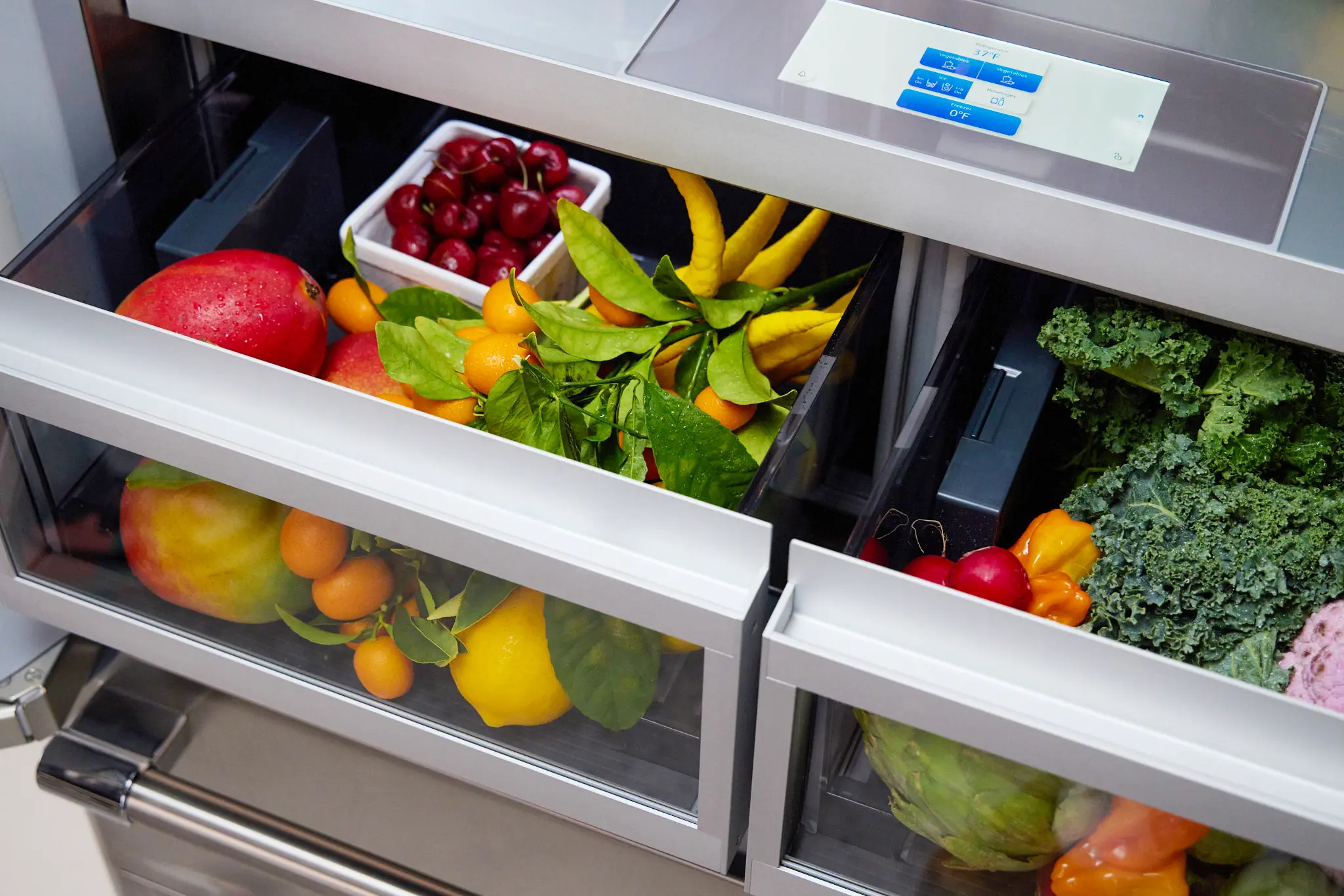 Freedom® Built-in French Door Bottom Freezer Professional T48BT120NS