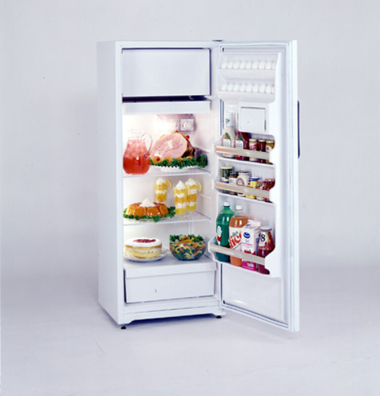 9.6 Cu. Ft. Manual Defrost Refrigerator TAX10SNXLAD