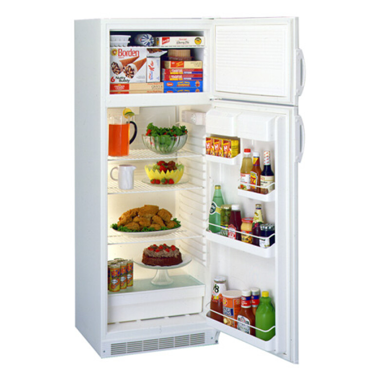 11.0 Cu. Ft. Cycle Defrost Refrigerator TDX11SNYWH