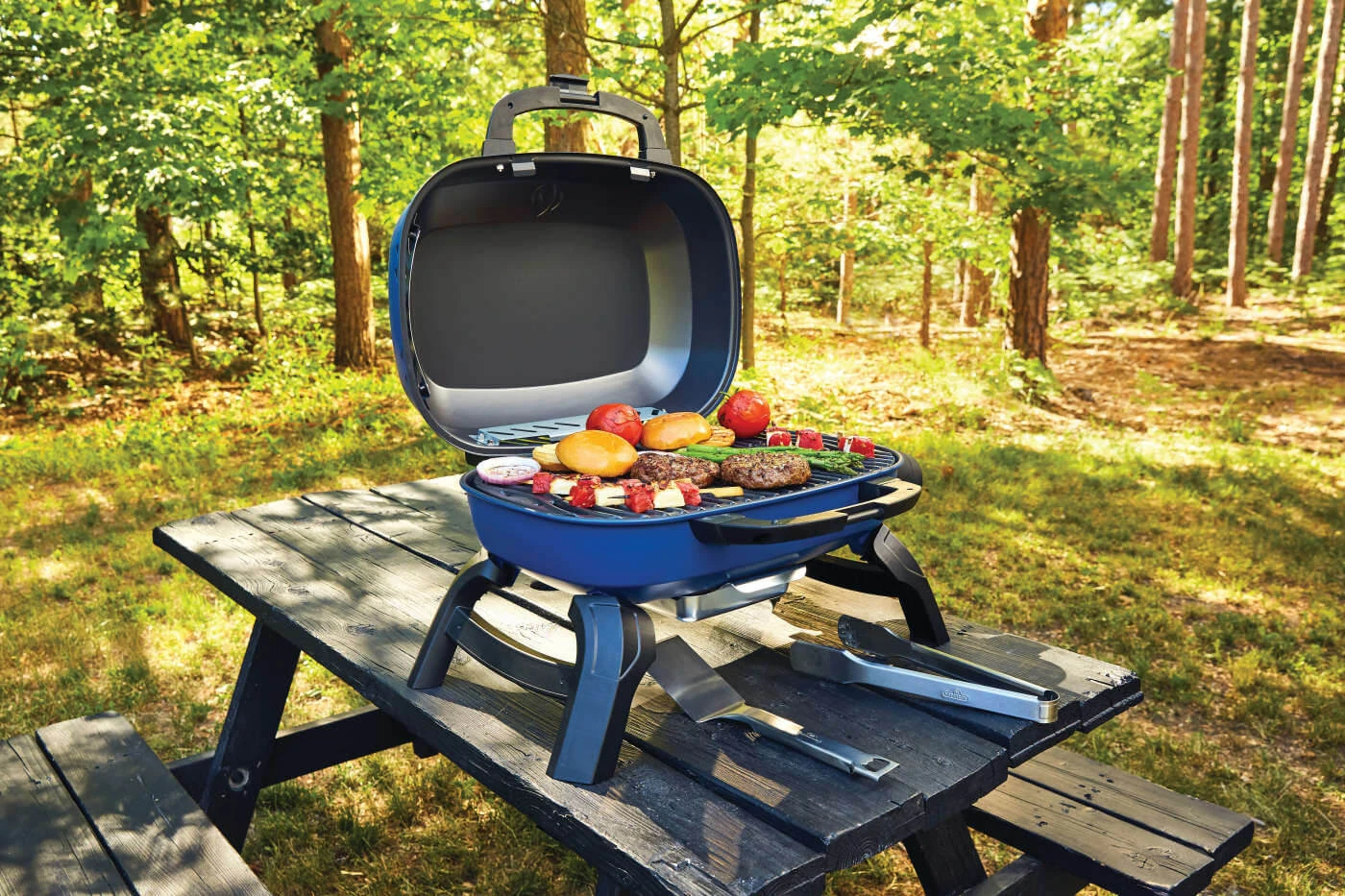 TravelQ™ 240 Portable Gas Grill TQ240BL