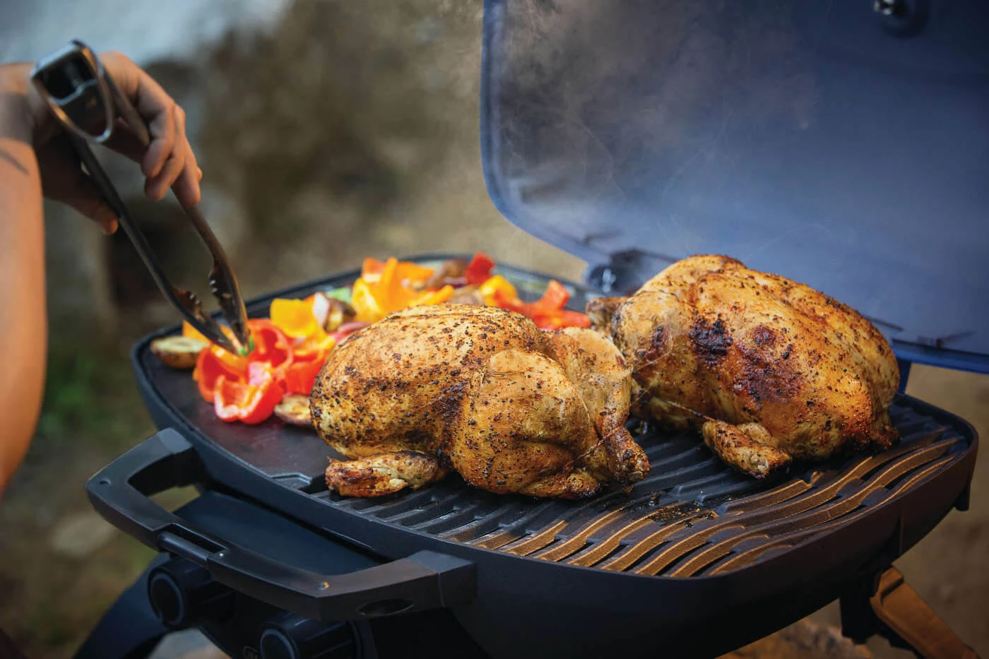 TravelQ™ 285 Portable Gas Grill TQ285BL1