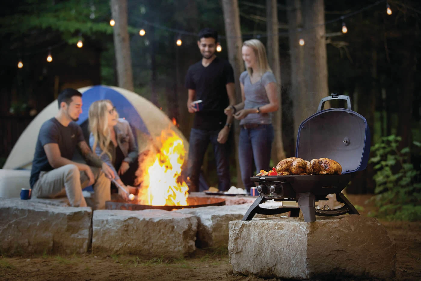 TravelQ™ 285 Portable Gas Grill TQ285BL1