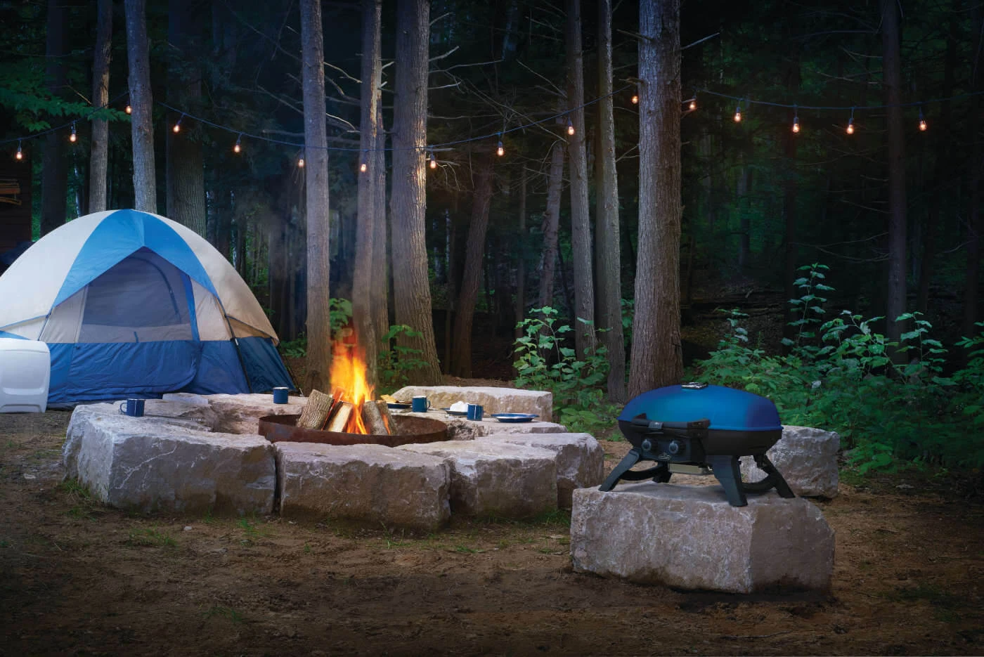 TravelQ™ 285 Portable Gas Grill TQ285BL1