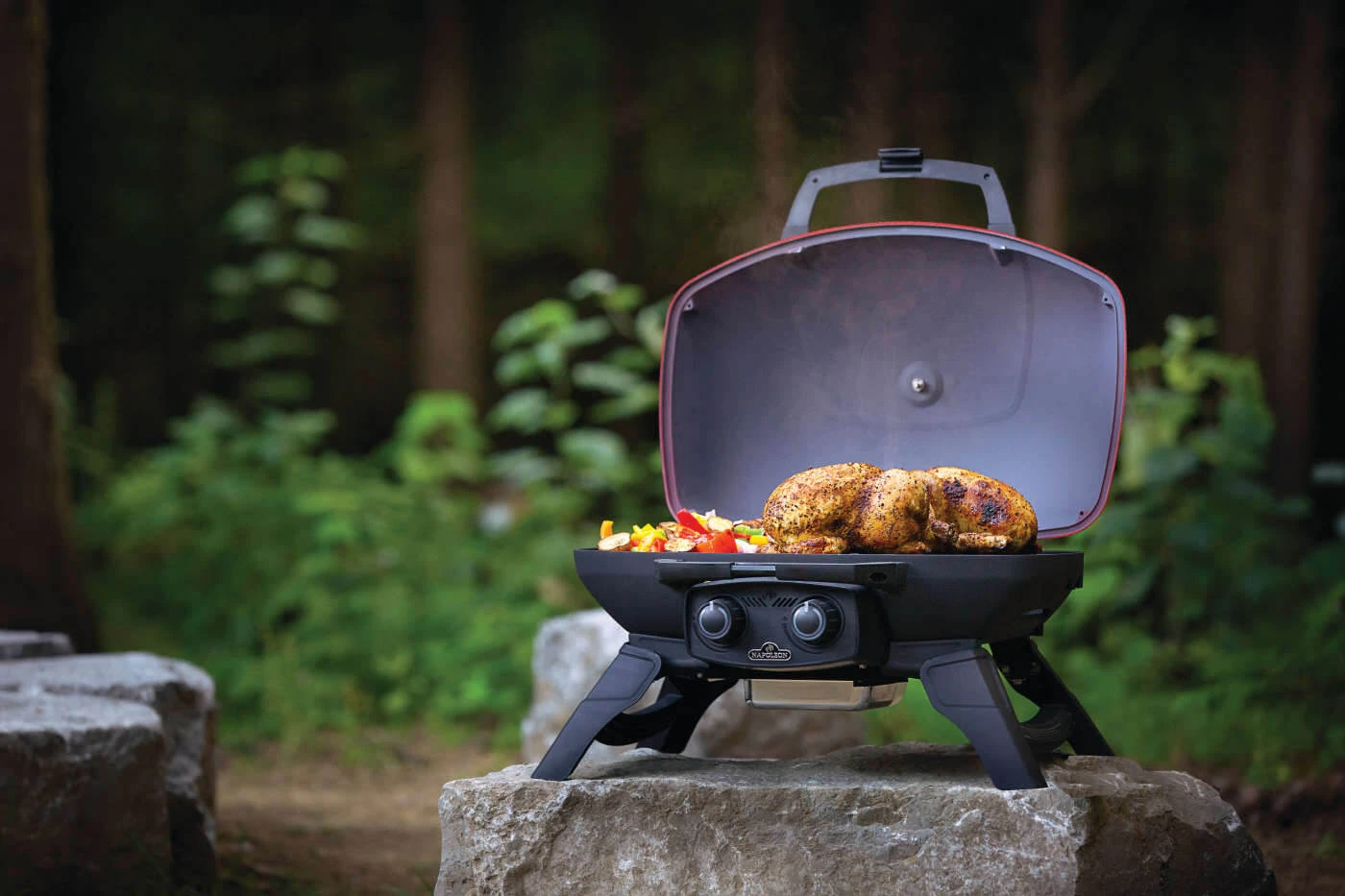 TravelQ™ 285 with Griddle TQ285RD1A