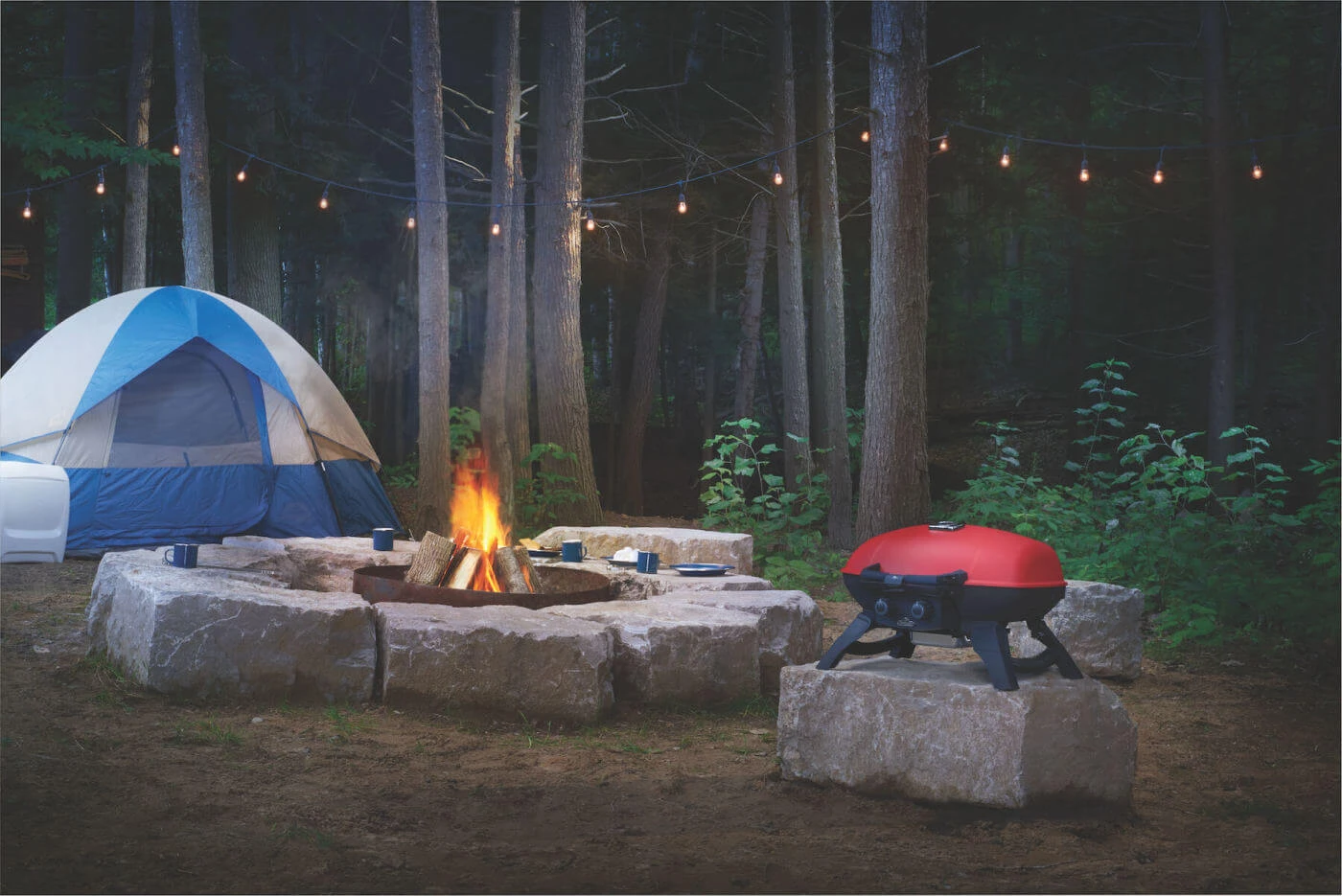 TravelQ™ 285 with Griddle TQ285RD1A