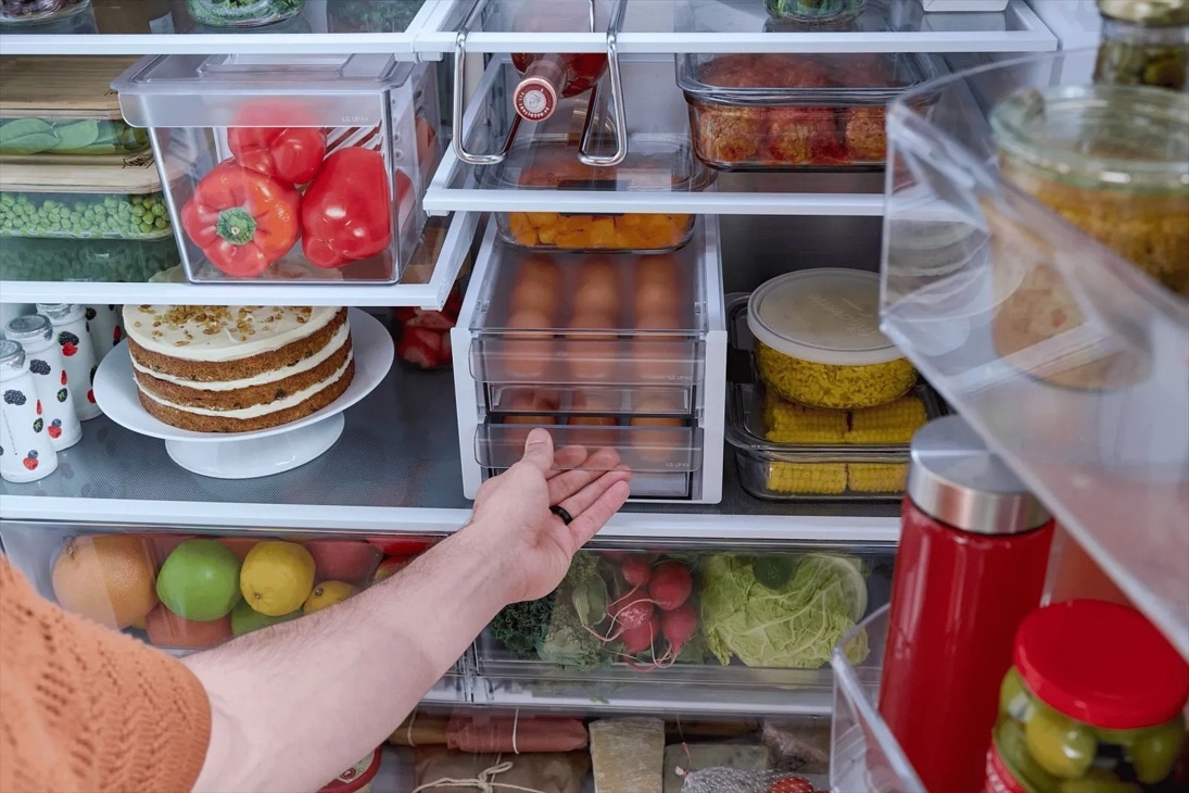 LG Egg Tray Refrigerator Accessory U95AET1