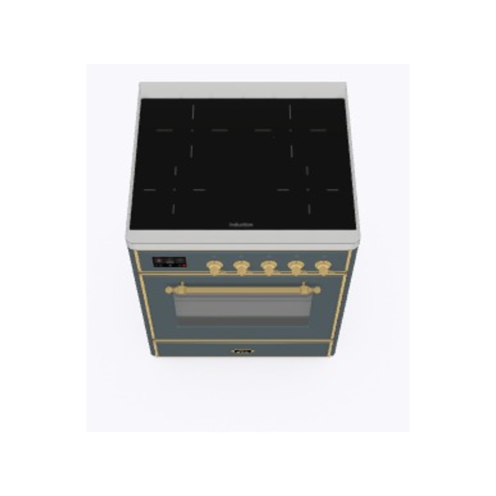 Majestic II 30 inch Induction Range with 4 Elements, 4 cu. ft. Oven Capacity UMI30NE3BGG