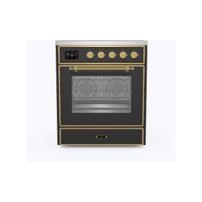 Majestic II 30 inch Induction Range with 4 Elements, 4 cu. ft. Oven Capacity UMI30NE3MGG