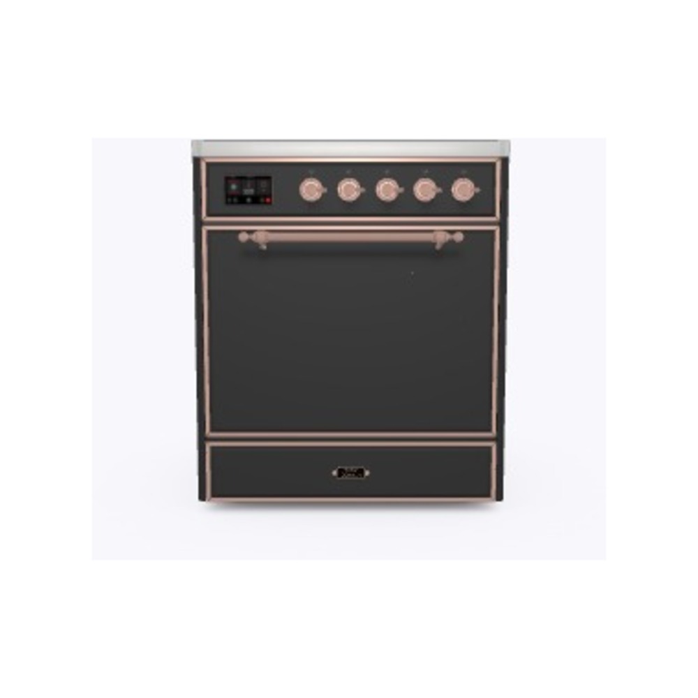 Majestic II 30 inch Induction Range with 4 Elements, 4 cu. ft. Oven Capacity UMI30QNE3MGP