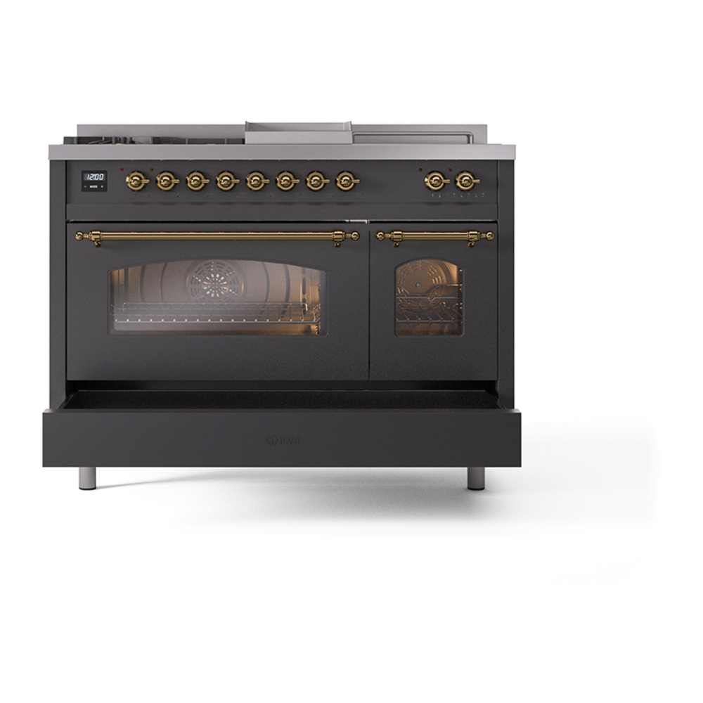 Nostalgie II 48 inch Dual Fuel Range UP48FSNMPMGG