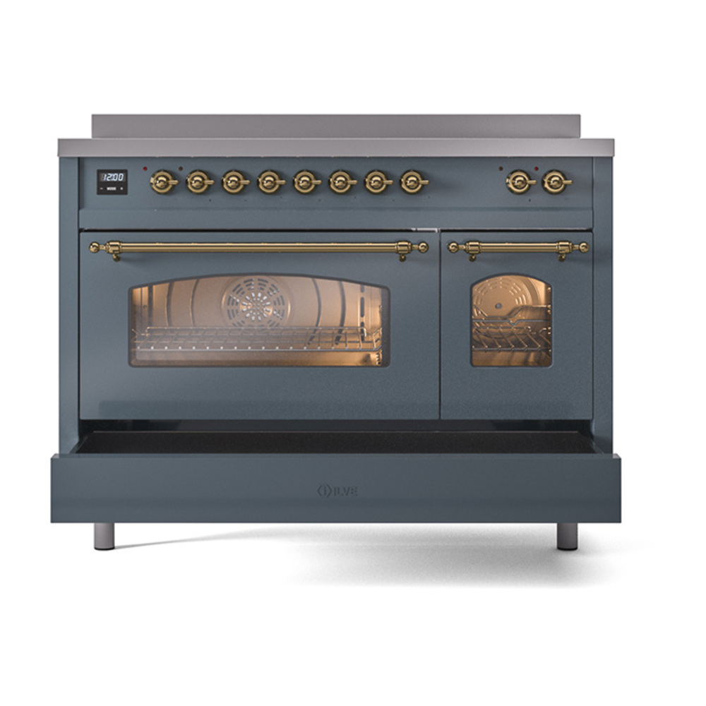 Nostalgie II 48 inch Induction Range with 6 Elements UPI486NMPBGG