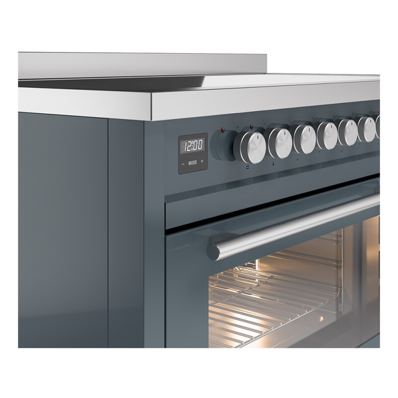 Professional Plus II 48 inch Induction Range UPI486WMPBG