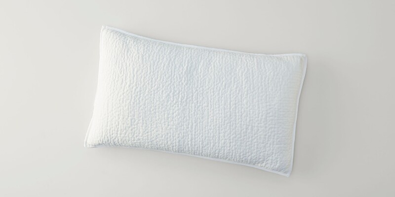 Danica Pillow Shams V190119