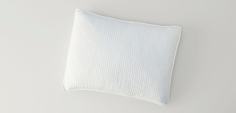 Danica Pillow Shams V190120