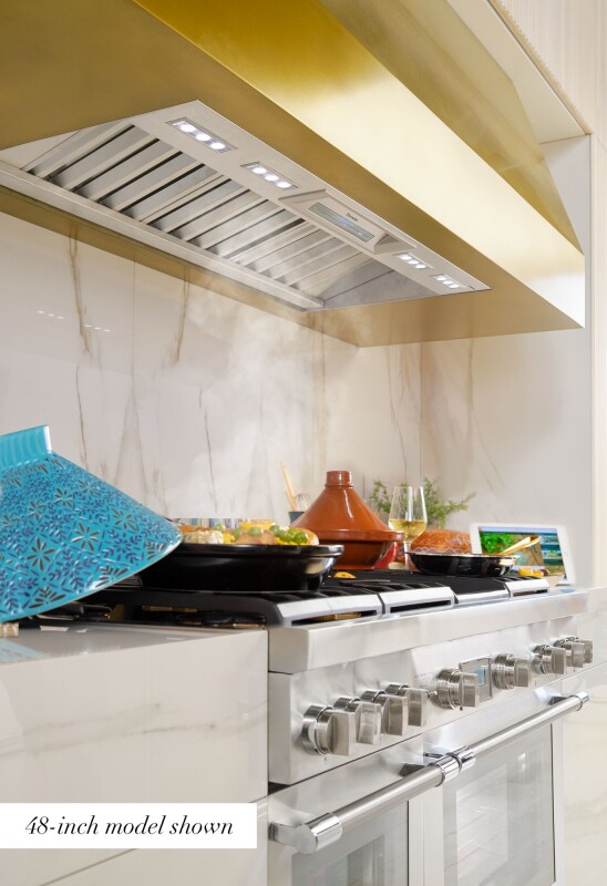 Professional Low-Profile Wall Hood 42" VCIN42GWS