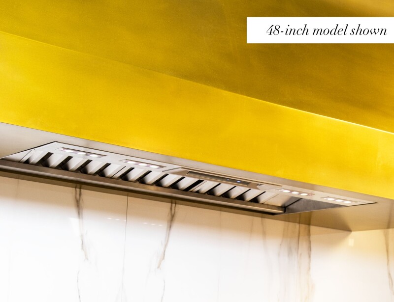 Professional Low-Profile Wall Hood 42" VCIN42GWS