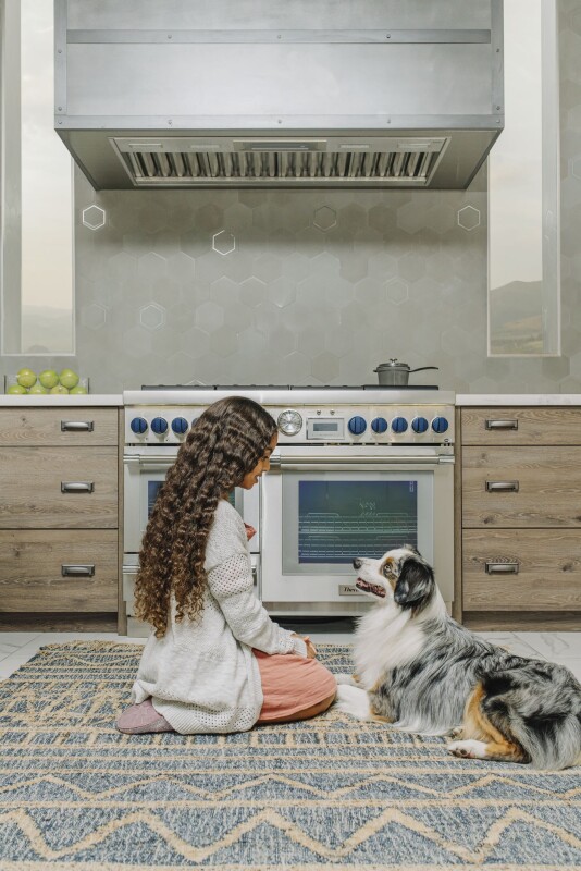 Professional Low-Profile Wall Hood VCIN54GWS