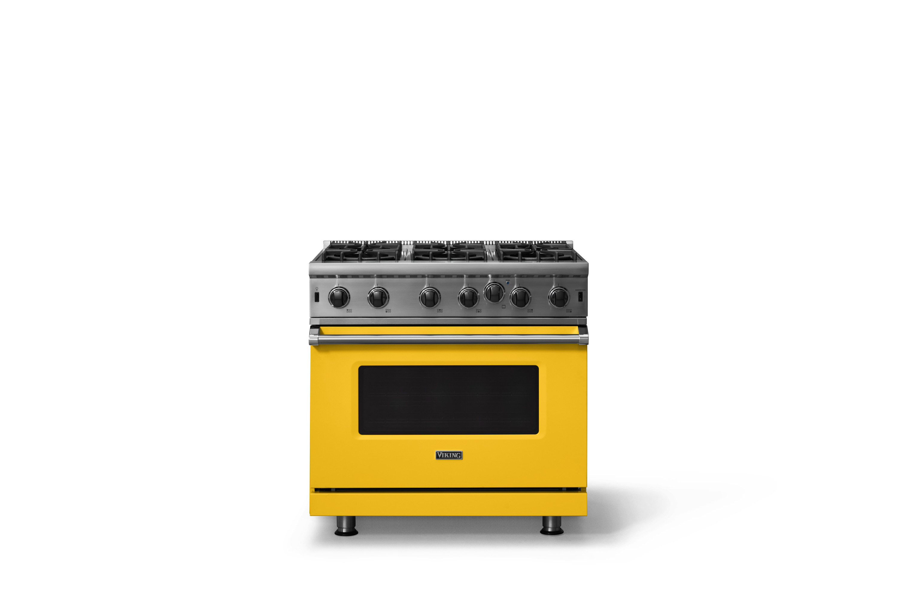 Product - Daffodil