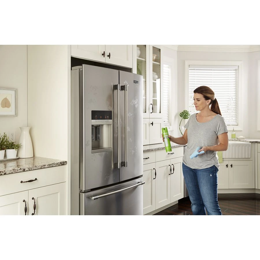 Affresh Stainless Steel Cleaning Spray W11042467