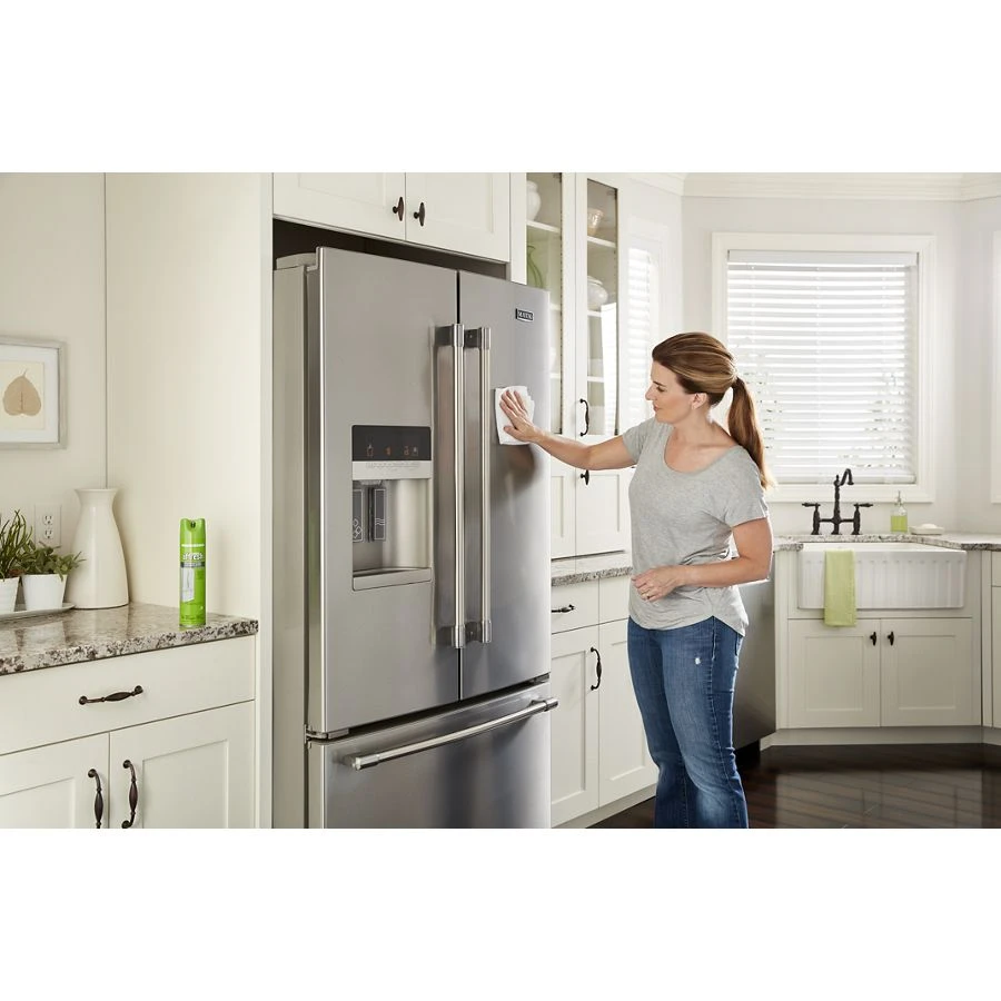 Affresh Stainless Steel Cleaning Spray W11042467