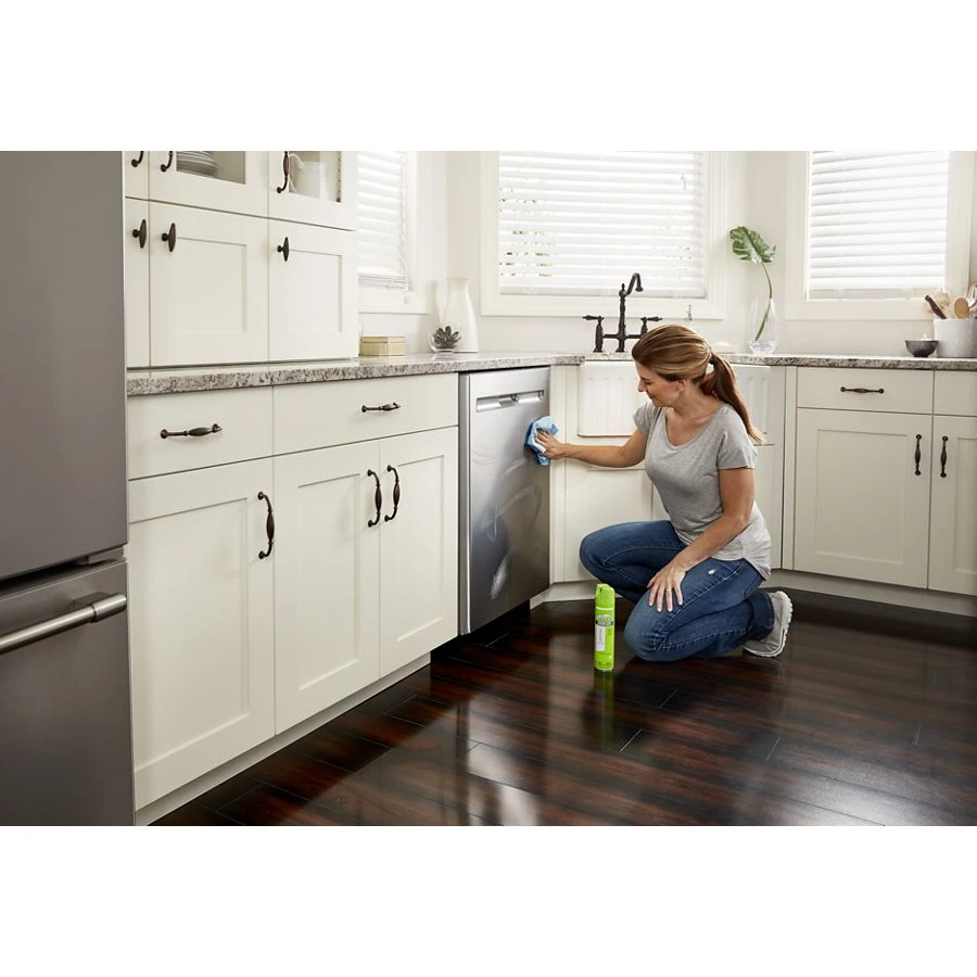 Affresh Stainless Steel Cleaning Spray W11042467