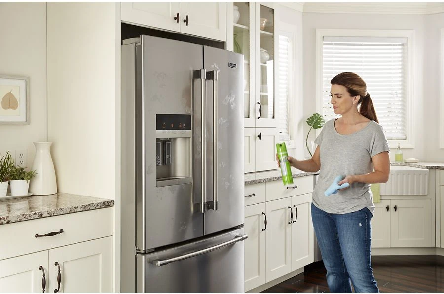 Affresh Stainless Steel Cleaning Spray W11042467