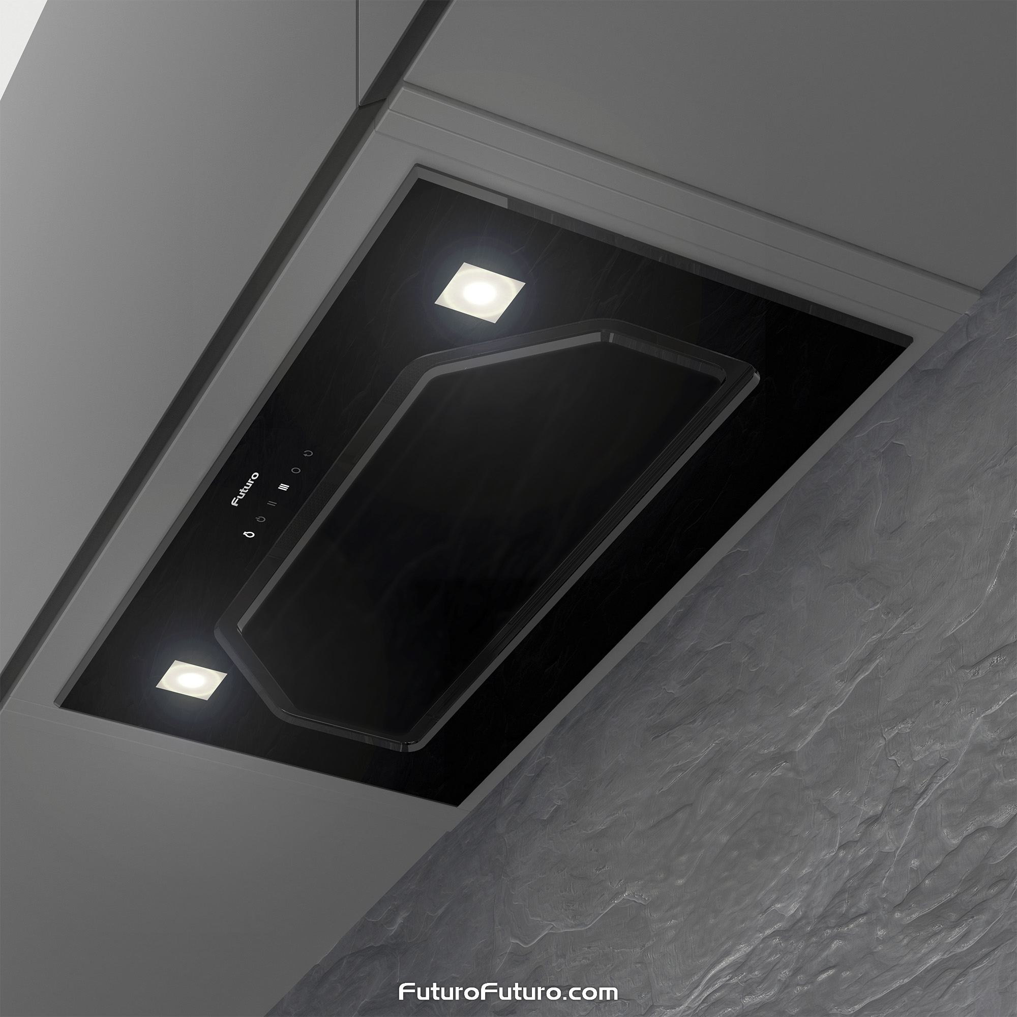 22″ Bravia Black Insert Range Hood WL22BRAVIABLK