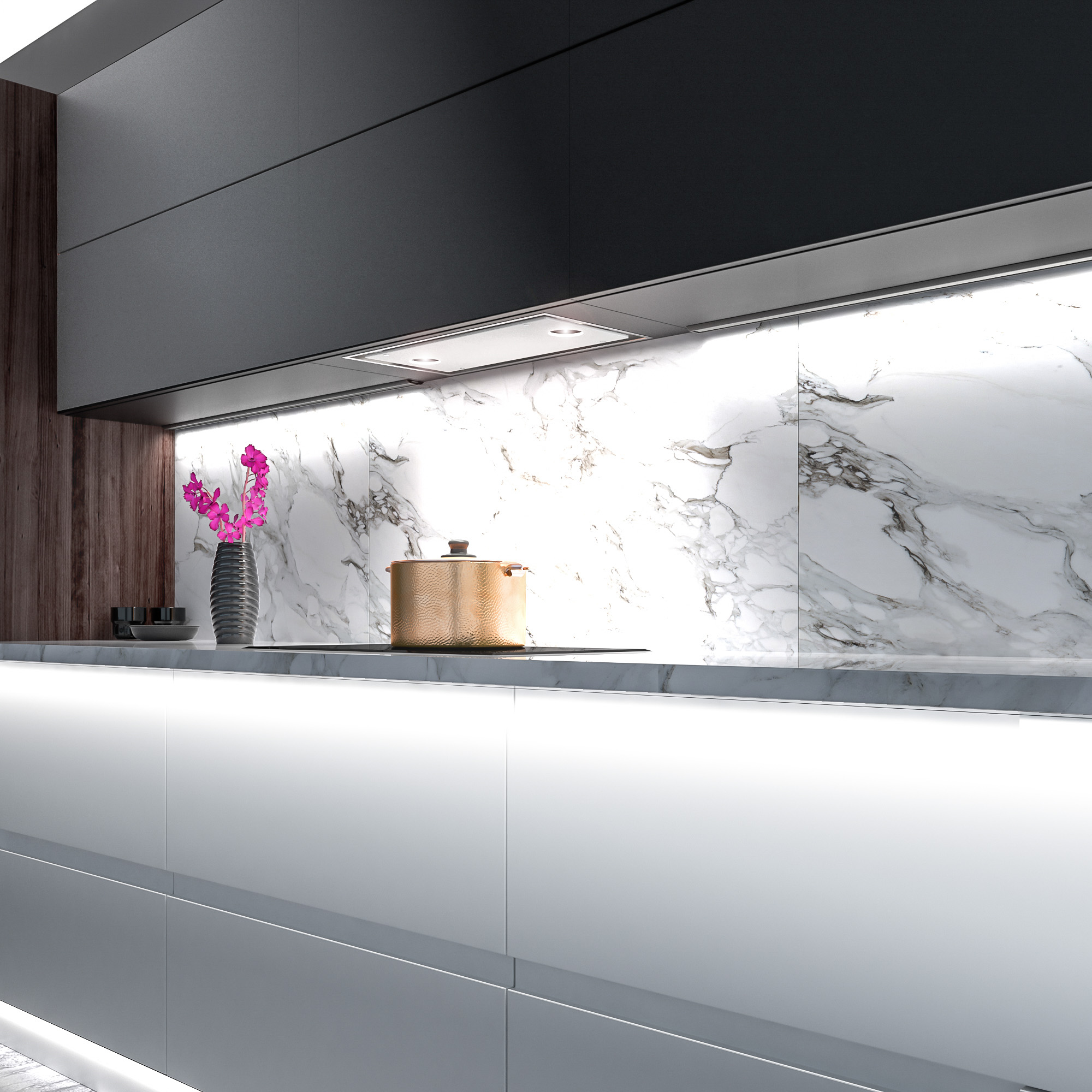 24″ Raccolta Insert Range Hood WL24RACCOLTA